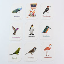 KidKraft Early Learner Educational Flashcards – 32 Birds